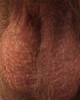 amateur,private,swinger