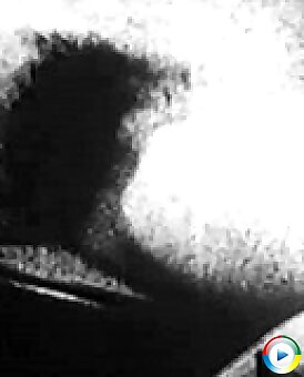 retro,hairy,vintage