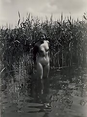 retro,vintage