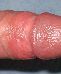 amateur,private,housewife