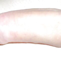 amateur,private,housewife