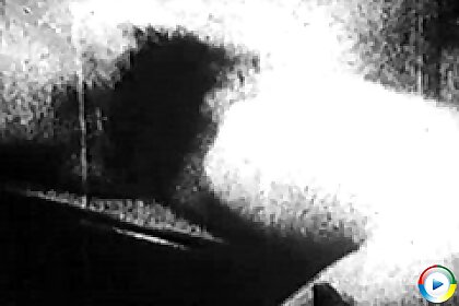 retro,hairy,vintage